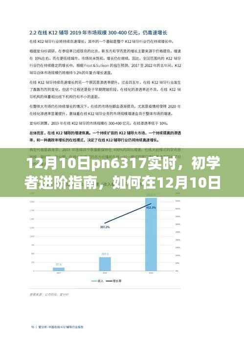 初学者进阶指南,如何在12月10日利用pn6317完成实时任务攻略