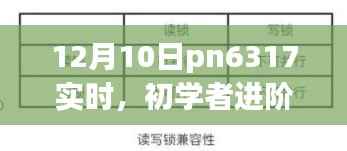 初学者进阶指南,如何在12月10日利用pn6317完成实时任务攻略