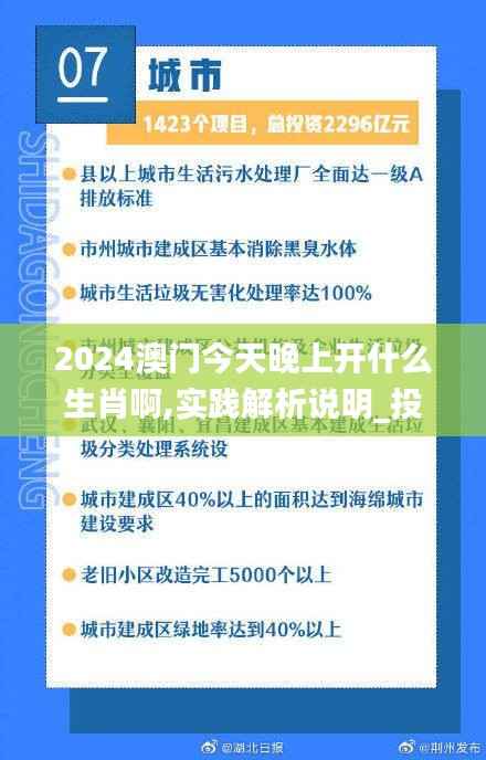 2024澳门今天晚上开什么生肖啊,实践解析说明_投资版3.177