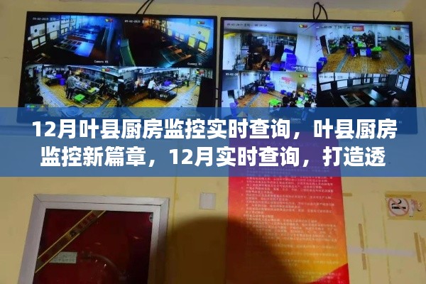 叶县厨房监控新篇章,12月实时查询,打造透明厨房监管系统