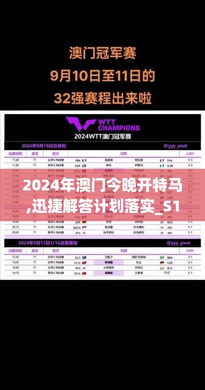 2024年澳门今晚开特马,迅捷解答计划落实_S18.114