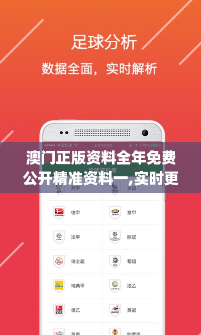 澳门正版资料全年免费公开精准资料一,实时更新解释定义_MT5.441
