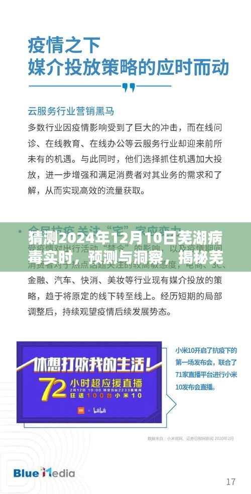 揭秘芜湖病毒未来走向,预测与洞察实时动态(针对2024年12月10日)