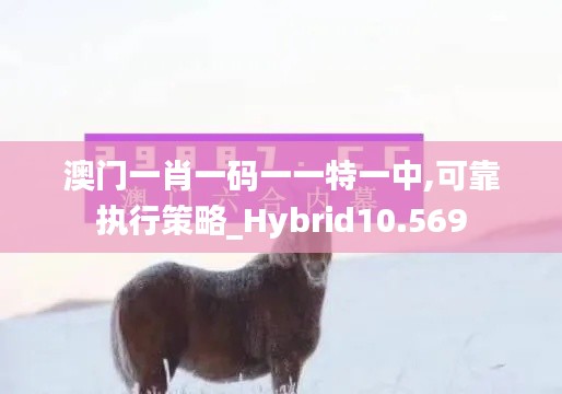 澳门一肖一码一一特一中,可靠执行策略_Hybrid10.569