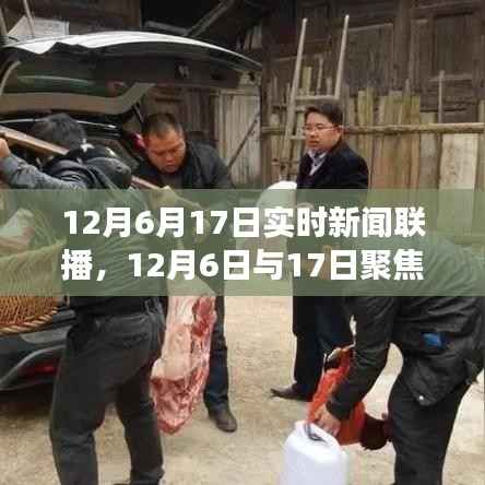 12月6日与17日新闻联播实时报道及热点事件深度解析
