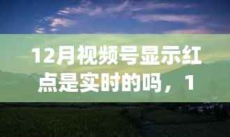 12月红点探秘，实时追踪自然美景，寻找内心宁静的旅程