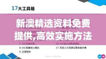 新澳精选资料免费提供,高效实施方法分析_模拟版18.684