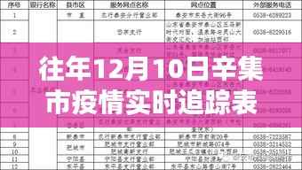 往年辛集市疫情实时追踪表格制作指南与数据追踪表格概览