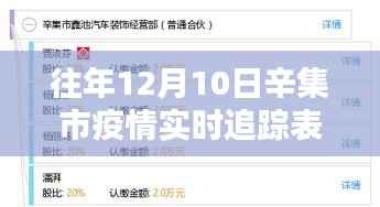 往年辛集市疫情实时追踪表格制作指南与数据追踪表格概览