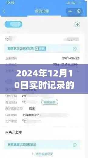 2024年行程码实时记录查询新指南,操作详解与实时功能体验