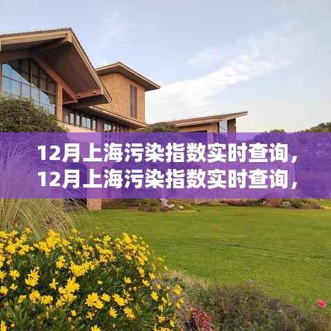 上海污染指数实时查询,多方观点下的探讨与解析(附十二月最新数据)