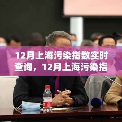 上海污染指数实时查询,多方观点下的探讨与解析(附十二月最新数据)