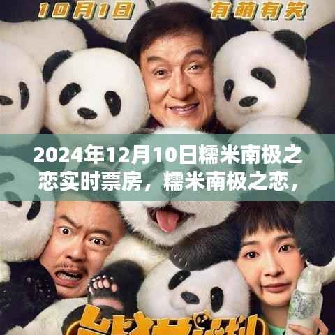 糯米南极之恋,穿越冰雪的深情与实时票房奇迹(2024年12月10日更新)
