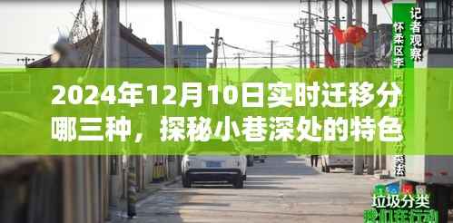 探秘实时迁移三大类型与小巷深处的特色小店,揭秘2024年迁移趋势新动向