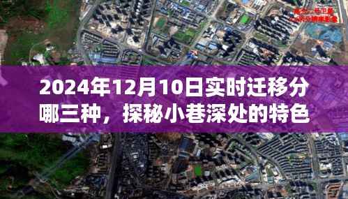 探秘实时迁移三大类型与小巷深处的特色小店,揭秘2024年迁移趋势新动向