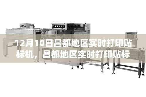 昌都地区实时打印贴标机技术前沿与应用展望,最新动态与趋势分析(12月10日)