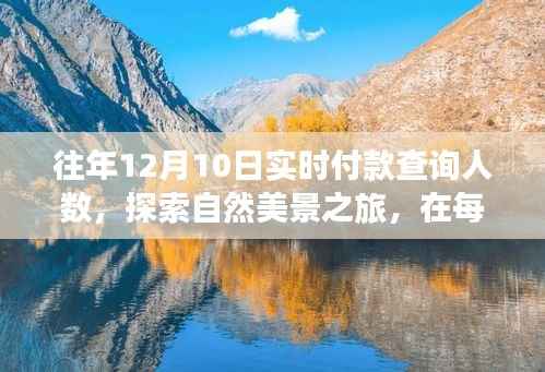 揭秘实时付款背后的故事与探索自然美景之旅的双重体验,十二月十日的心灵之旅揭秘。
