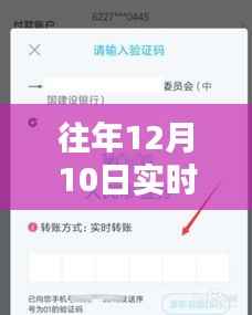 往年12月10日实时转账延迟处理指南,解决转账未到问题全攻略