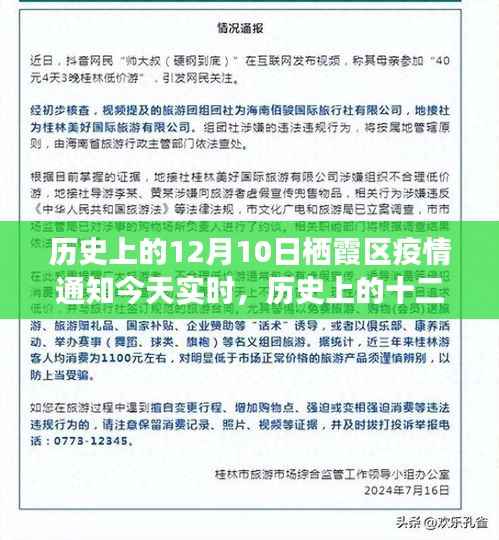 历史上的十二月十日,栖霞区疫情下的探索之旅与内心宁静的追寻