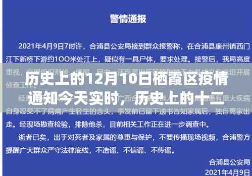 历史上的十二月十日,栖霞区疫情下的探索之旅与内心宁静的追寻