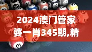 2024澳门管家婆一肖345期,精准解答解释定义_3K2.343