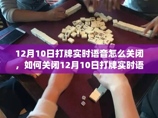 详细步骤指南,如何关闭打牌实时语音功能(适用于12月10日操作)