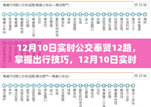12月10日实时公交奉贤12路出行指南与使用技巧