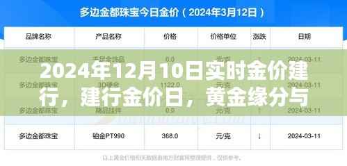 建行黄金日,黄金缘分与温馨时光实时金价播报