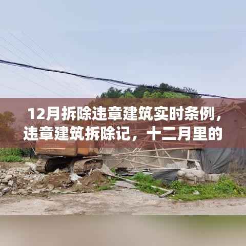 十二月违章建筑拆除实录,温情与坚守的篇章
