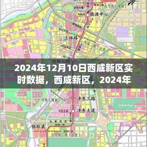 西咸新区深度洞察,2024年12月10日实时数据报告