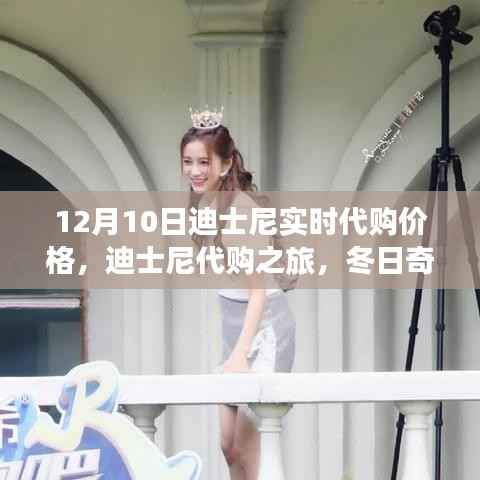 迪士尼代购之旅,冬日价格揭秘与奇遇记