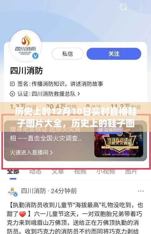 历史上的鞋子图片直播,12月10日的独特视角与实时直播鞋子图片大全