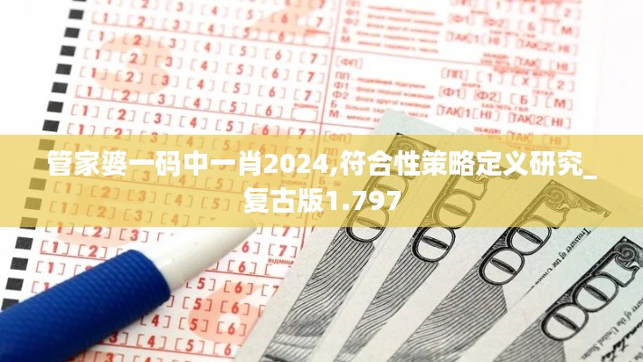 管家婆一码中一肖2024,符合性策略定义研究_复古版1.797