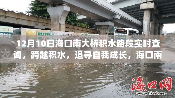 海口南大桥积水路段下的励志故事与自我成长探寻