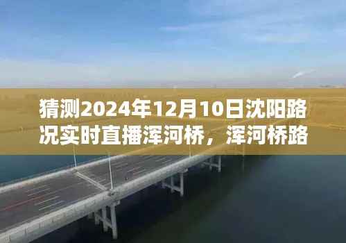 沈阳浑河桥路况实时直播预测与追踪,初学者与进阶用户指南