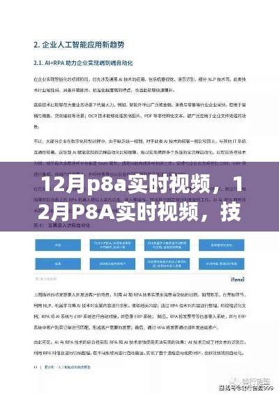 技术前沿下的多方观点探讨,12月P8A实时视频解析