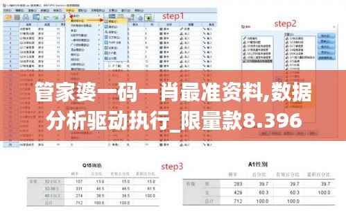 管家婆一码一肖最准资料,数据分析驱动执行_限量款8.396