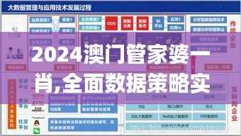 2024澳门管家婆一肖,全面数据策略实施_工具版2.730