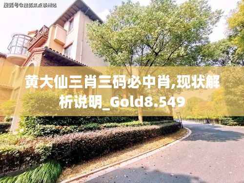 黄大仙三肖三码必中肖,现状解析说明_Gold8.549