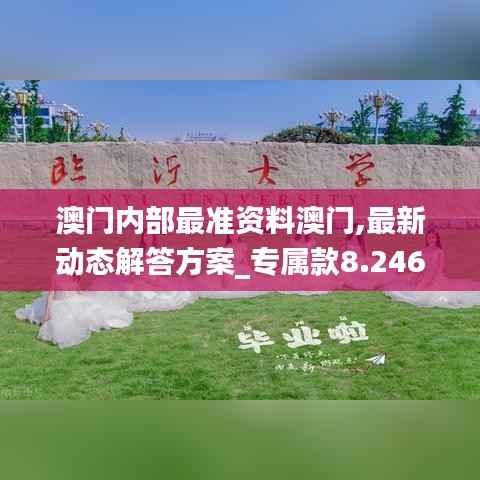澳门内部最准资料澳门,最新动态解答方案_专属款8.246