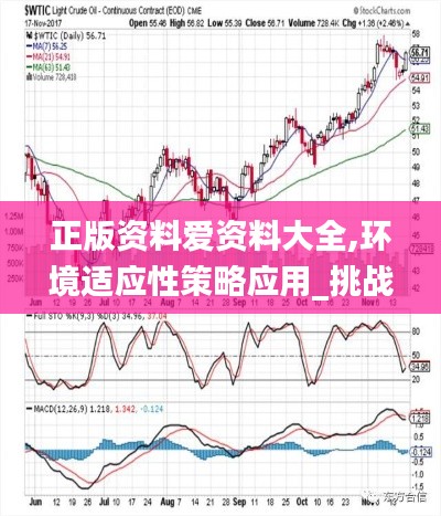 正版资料爱资料大全,环境适应性策略应用_挑战款11.608