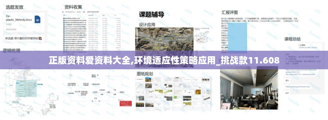 正版资料爱资料大全,环境适应性策略应用_挑战款11.608