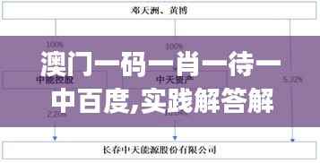澳门一码一肖一待一中百度,实践解答解释定义_运动版3.543