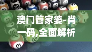 澳门管家婆-肖一码,全面解析说明_入门版9.686