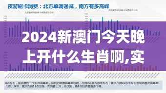 2024新澳门今天晚上开什么生肖啊,实地数据验证策略_YE版8.185