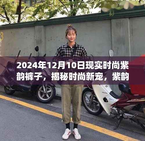 2024年观察,紫韵裤子揭秘时尚新宠的魅力