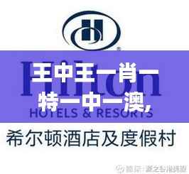 王中王一肖一特一中一澳,稳健性策略评估_顶级款5.209