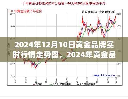黄金品牌行情走势深度解析,实时行情图与未来展望(2024年黄金市场趋势预测)