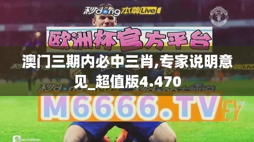 澳门三期内必中三肖,专家说明意见_超值版4.470