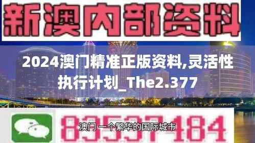 2024澳门精准正版资料,灵活性执行计划_The2.377